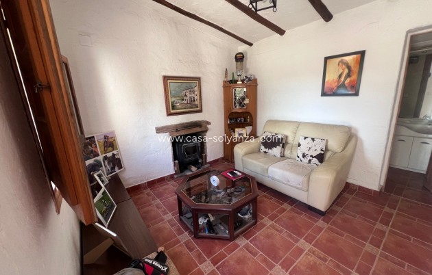 Wiederverkauf - Country Property/Finca - Torremendo