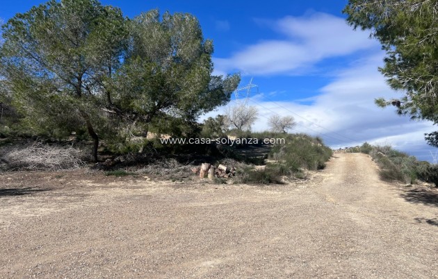Resale - Country Property/Finca - Torremendo - Costa Blanca