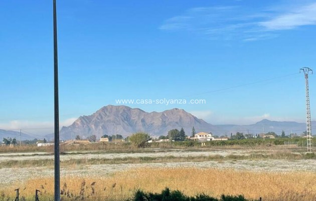 Herverkoop - Appartement / flat - Almoradí - almoradi