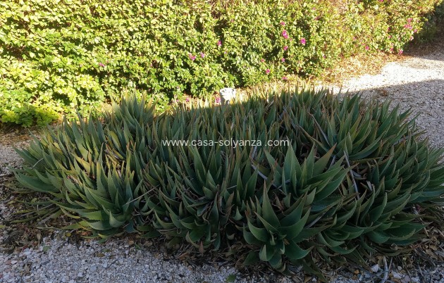 Wiederverkauf - Country Property/Finca - Orihuela