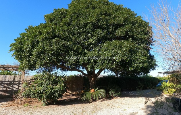 Wiederverkauf - Country Property/Finca - Orihuela