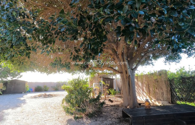 Wiederverkauf - Country Property/Finca - Orihuela