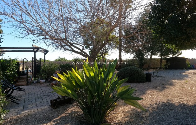 Wiederverkauf - Country Property/Finca - Orihuela