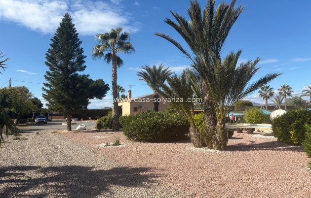 Resale - Villa - Albatera