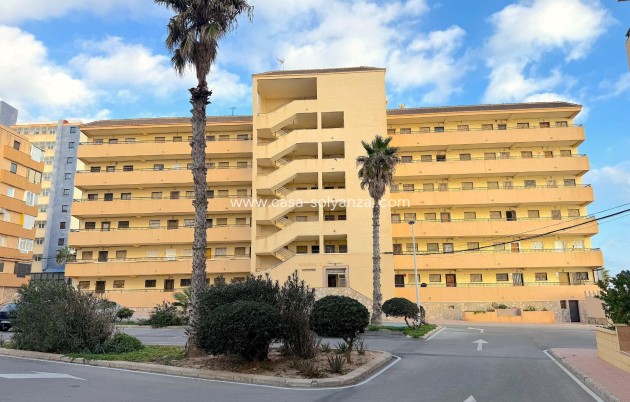 Revente - Appartement - Torrevieja - Cabo cervera