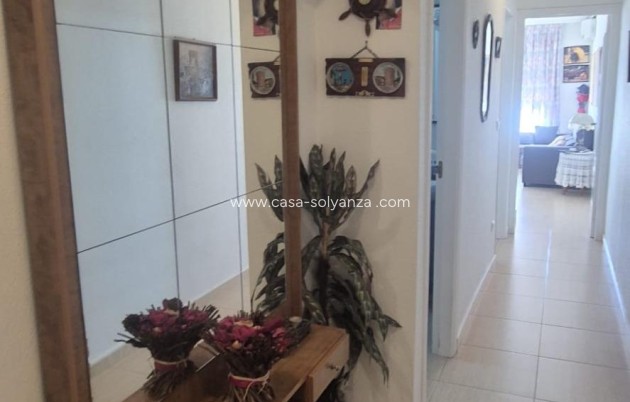 Revente - Appartement - Torrevieja - La Mata