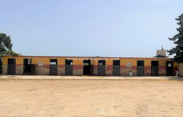 Herverkoop - Reclame - Balsicas - Inland