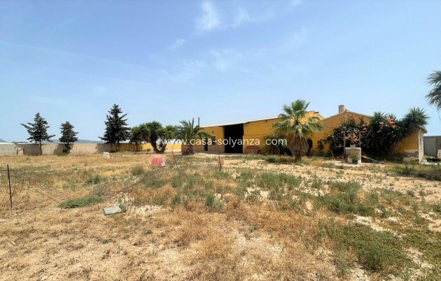 Herverkoop - Reclame - Balsicas - Inland