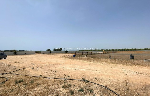 Herverkoop - Reclame - Balsicas - Inland