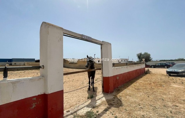 Herverkoop - Reclame - Balsicas - Inland