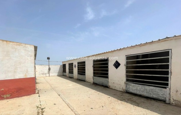 Herverkoop - Reclame - Balsicas - Inland