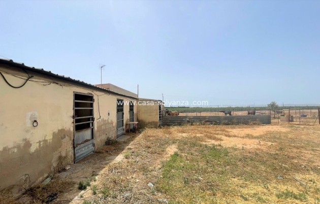 Herverkoop - Reclame - Balsicas - Inland