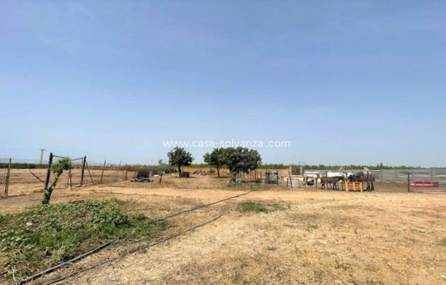 Herverkoop - Reclame - Balsicas - Inland