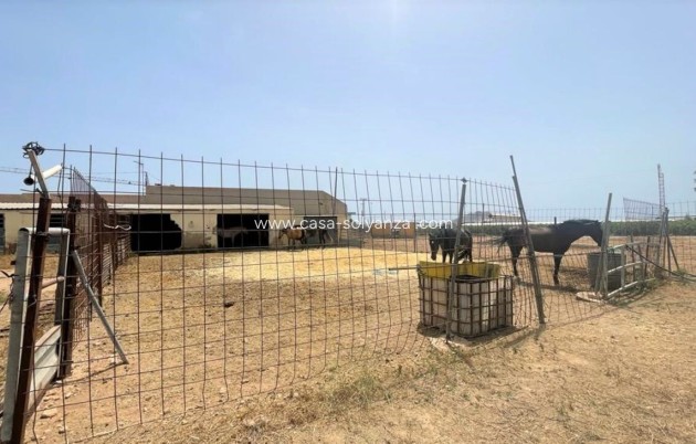 Herverkoop - Reclame - Balsicas - Inland