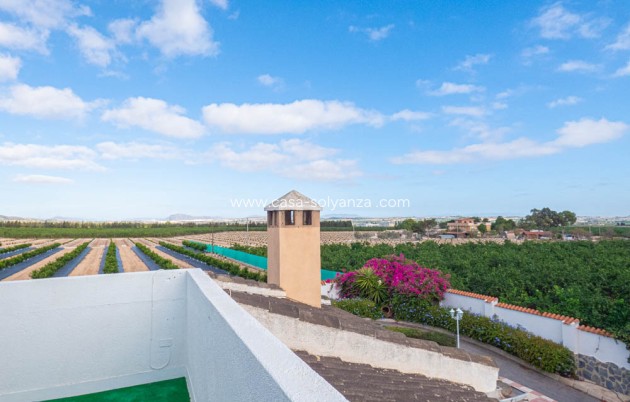 Herverkoop - Villa - San Miguel de Salinas - Inland