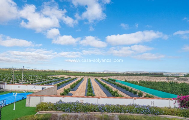 Herverkoop - Villa - San Miguel de Salinas - Inland