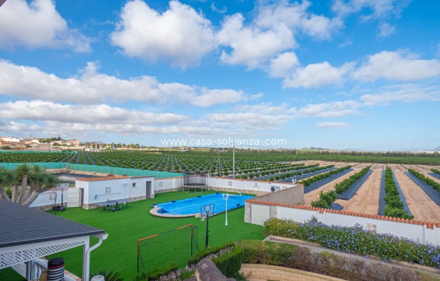 Herverkoop - Villa - San Miguel de Salinas - Inland