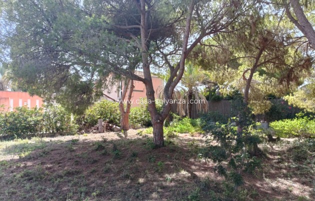 Herverkoop - Land - Cabo Roig - Costa Blanca