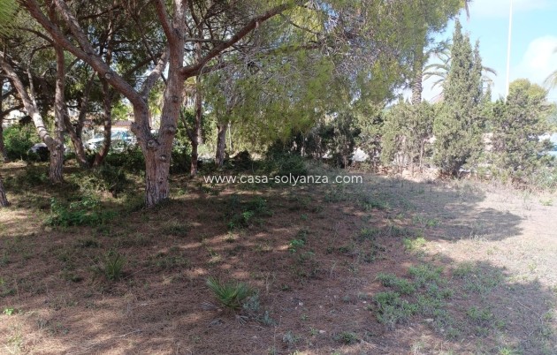 Herverkoop - Land - Cabo Roig - Costa Blanca