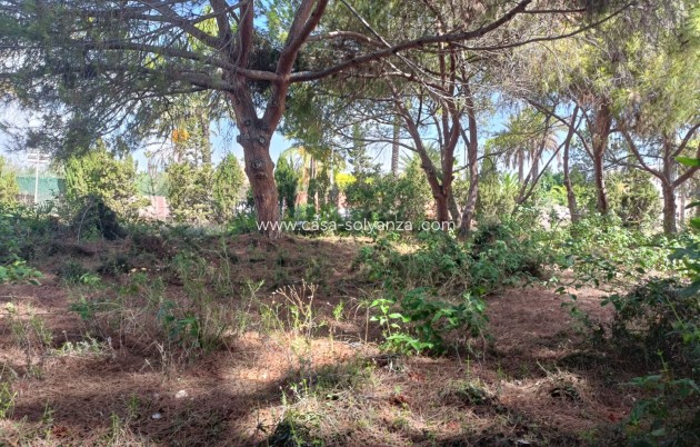 Herverkoop - Land - Cabo Roig - Costa Blanca