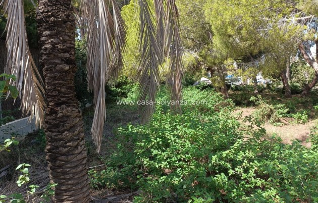 Herverkoop - Land - Cabo Roig - Costa Blanca