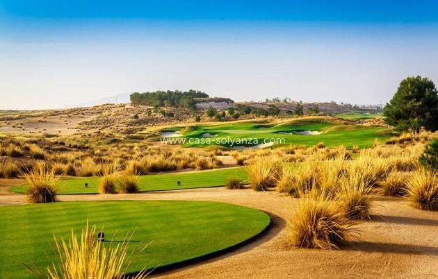 Obra nueva - Villa - Alhama de Murcia - Condado De Alhama