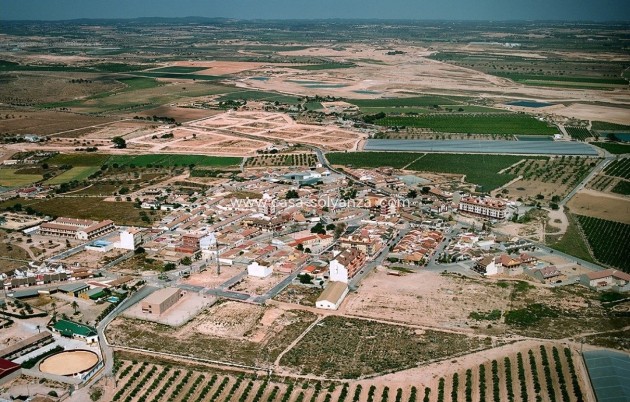 Obra nueva - Adosado - Avileses