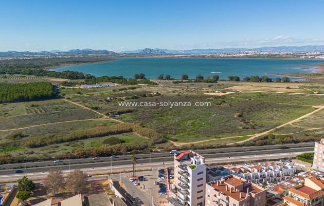 Revente - Appartement - Torrevieja - Costa Blanca