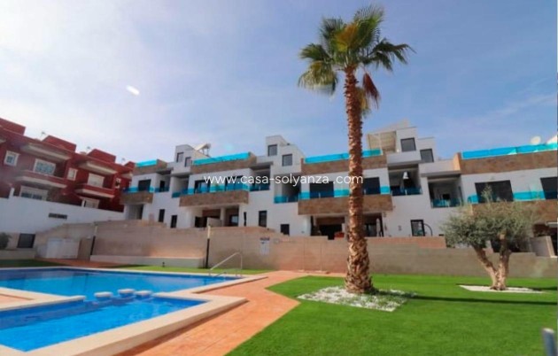 Nouvelle construction - Maison de ville - Bigastro - pueblo