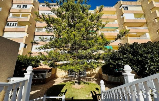 Revente - Appartement - La Mata - Alanis