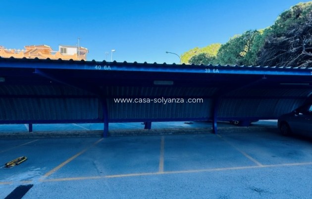 Revente - Appartement - La Mata - Alanis