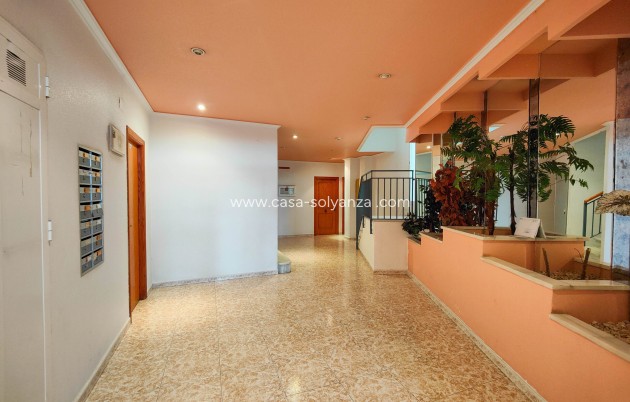 Revente - Appartement - Torrevieja - Costa Blanca
