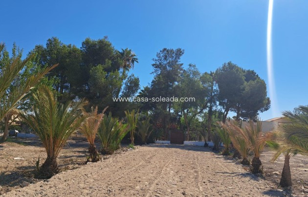Revente - Villa - Orihuela - Los Huertos