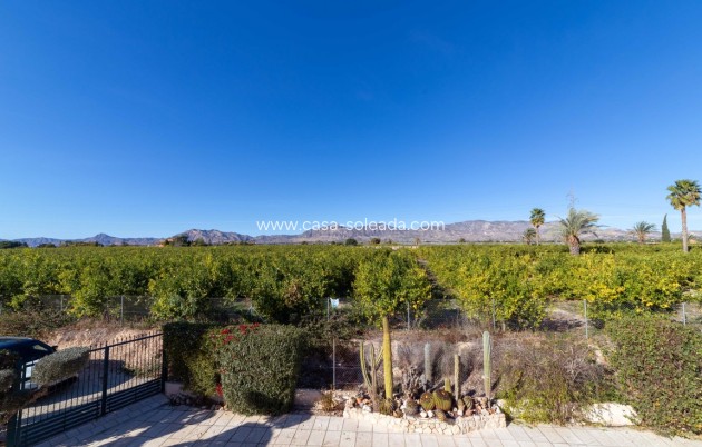 Revente - Country Property/Finca - Albatera - Inland