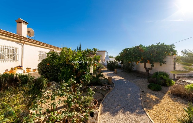 Revente - Country Property/Finca - Albatera - Inland