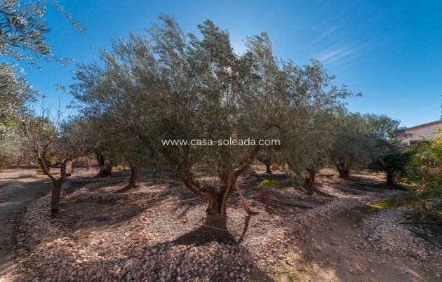 Revente - Country Property/Finca - Albatera - Inland