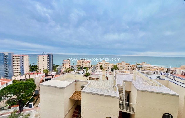 Herverkoop - Appartement / flat - Torrevieja - Miramar - Torre Del Moro