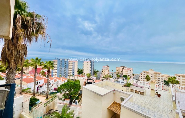 Herverkoop - Appartement / flat - Torrevieja - Miramar - Torre Del Moro
