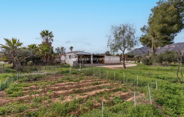 Revente - Villa - Hondón de las Nieves - Inland