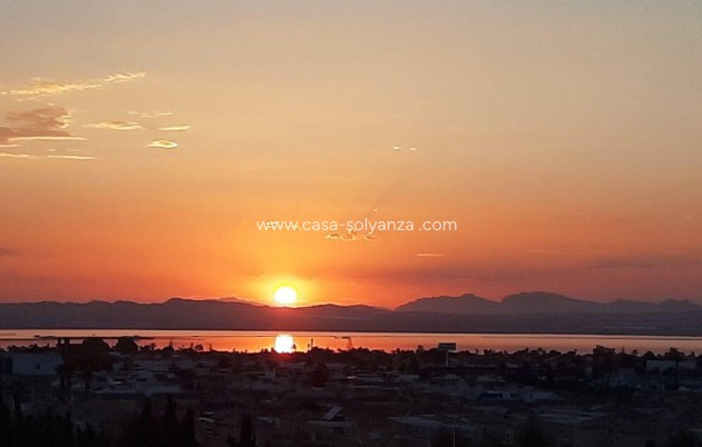 Wiederverkauf - Wohnung - Torrevieja