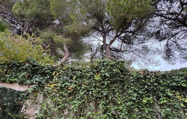 Herverkoop - Herenhuis - Torrevieja - Punta Prima