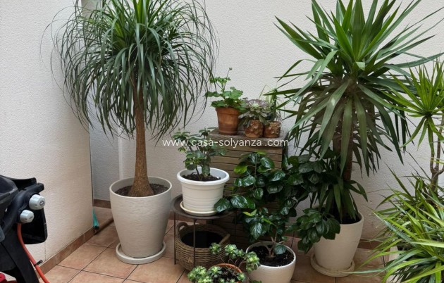 Herverkoop - Herenhuis - Torrevieja - Punta Prima