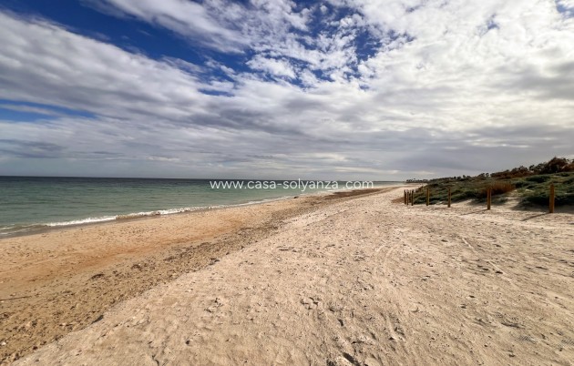 Reventa - Adosado - Pilar de la Horadada