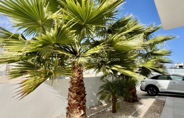 Revente - Villa - Benijofar - Costa Blanca