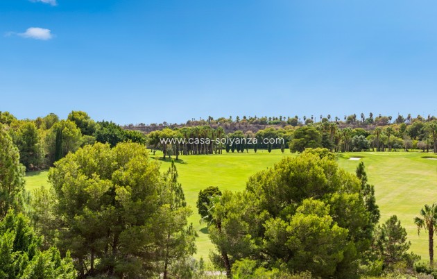 Herverkoop - Appartement / flat - Campoamor