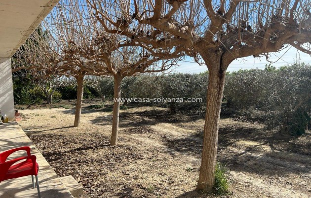 Herverkoop - Country Property/Finca - Los Montesinos - Comunidad Valenciana