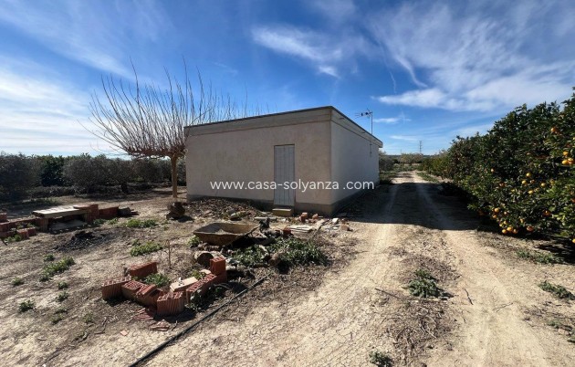 Herverkoop - Country Property/Finca - Los Montesinos - Comunidad Valenciana