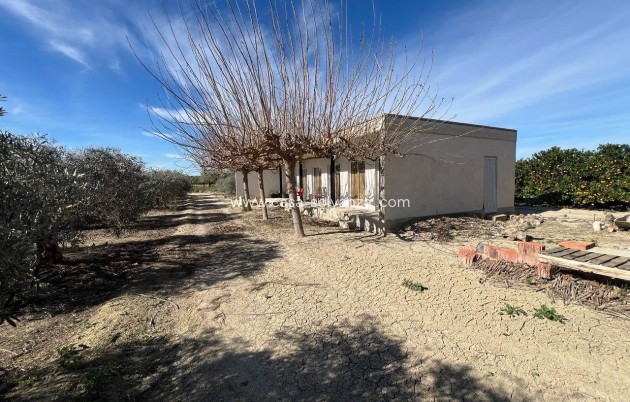 Herverkoop - Country Property/Finca - Los Montesinos - Comunidad Valenciana