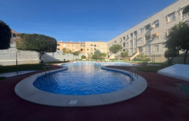 Revente - Appartement - Torrevieja - Costa Blanca