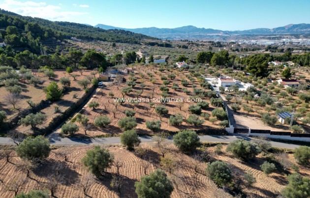 Revente - Land - Ibi - Costa Blanca